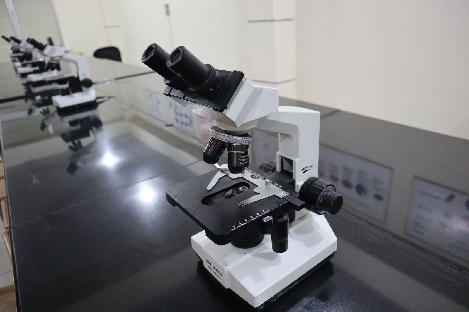 Microscope optique binoculaire sur une paillasse de laboratoire d'enseignement, devant une rangée d'instruments identiques.